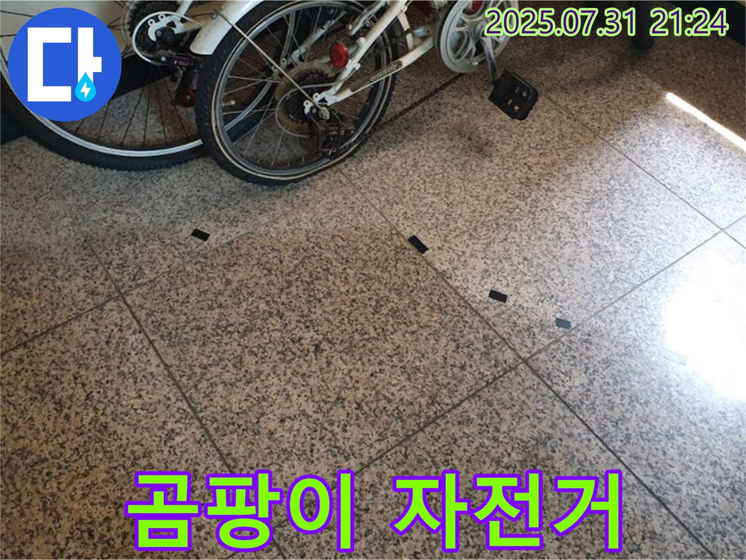 고양시 덕양구 행신동 누수 - 타일 틈새 곰팡이와 자전거 그림자가 함께 보이는 누수 의심 현장