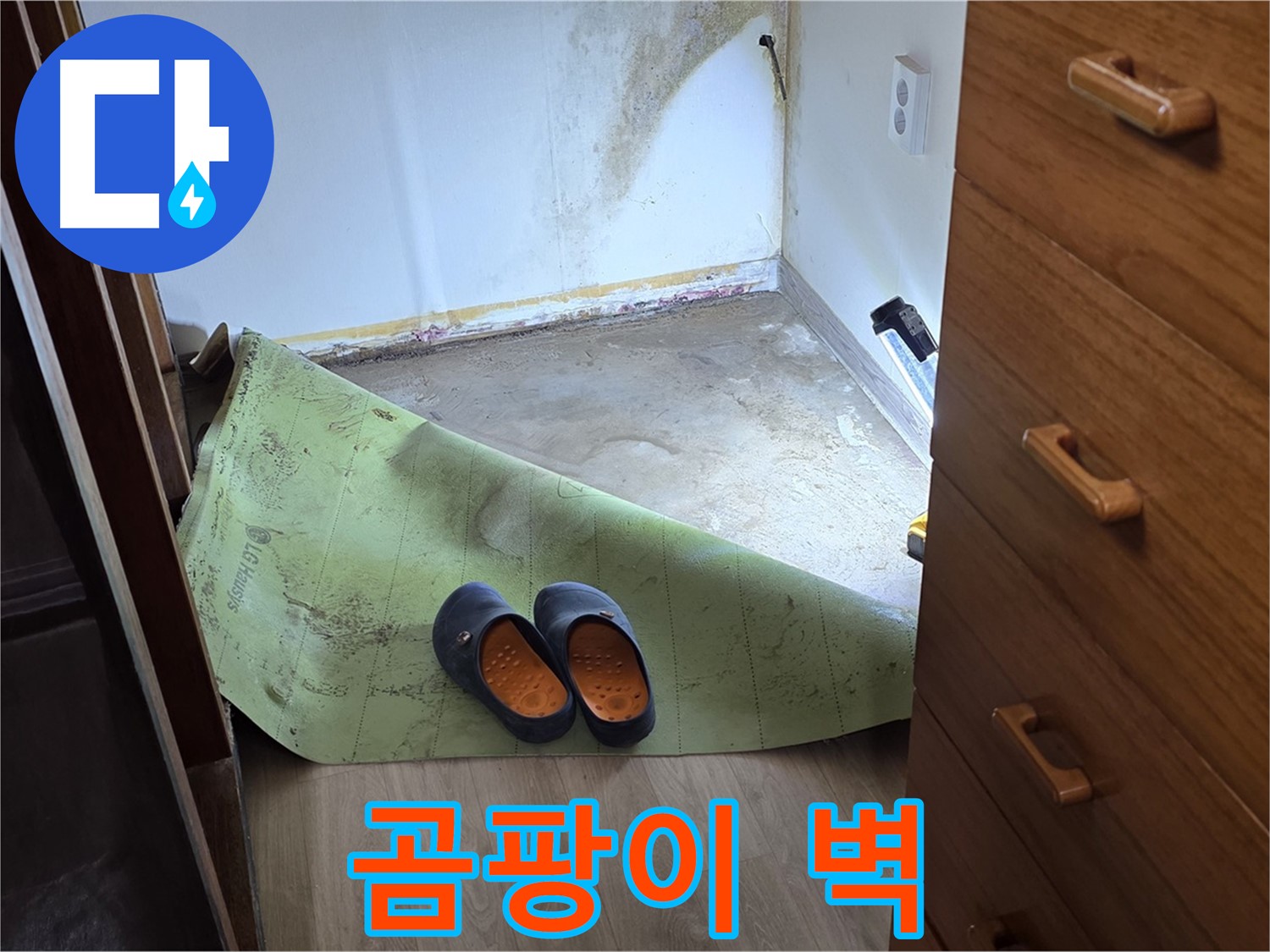 벽에 핀 곰팡이 - 누수 문제의 명백한 증거
