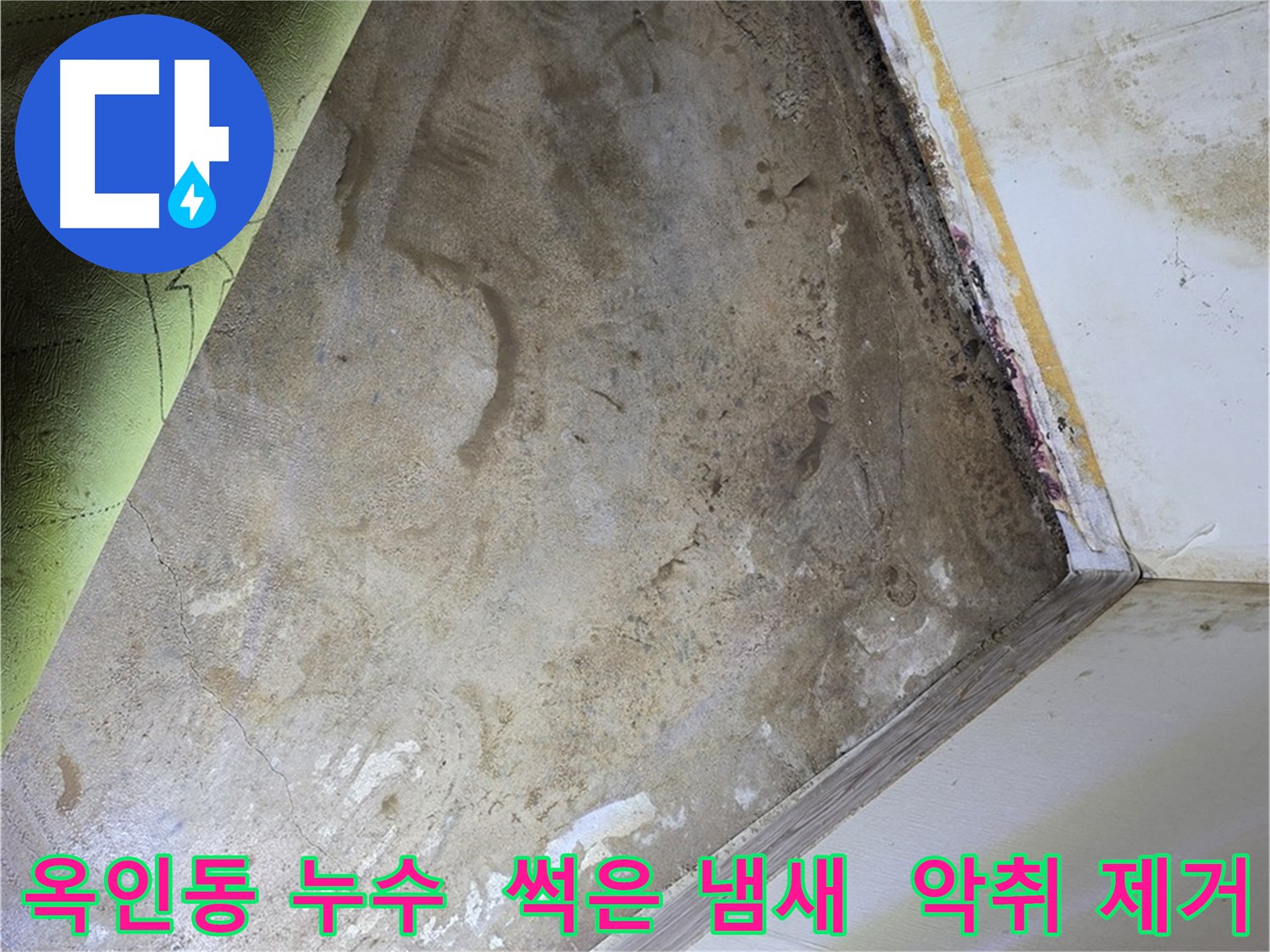 장판 밑 썩은 냄새 - 옥인동 누수 악취 원인 제거