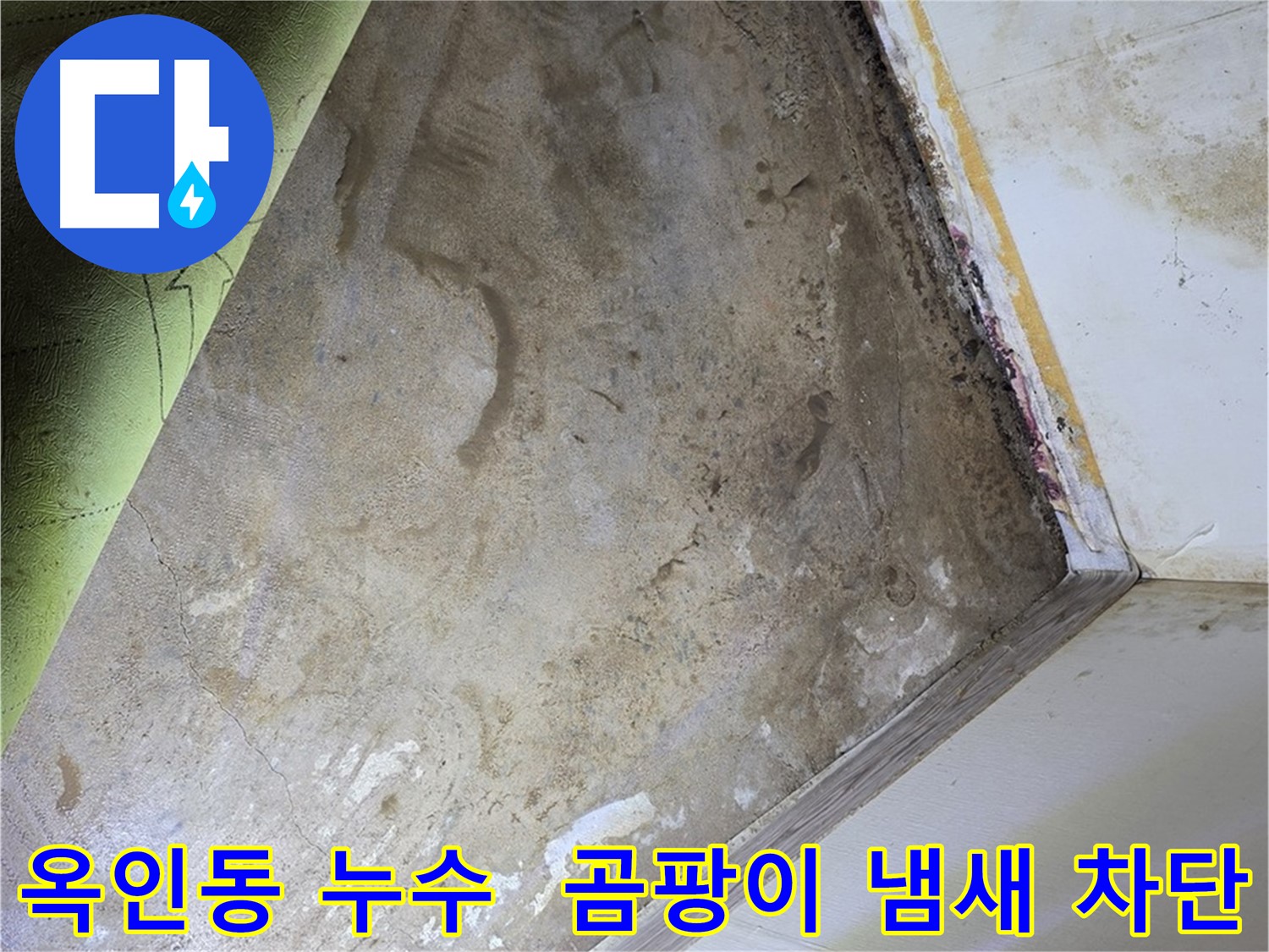 장판 밑 곰팡이 냄새 - 옥인동 냄새 원인 완벽 차단