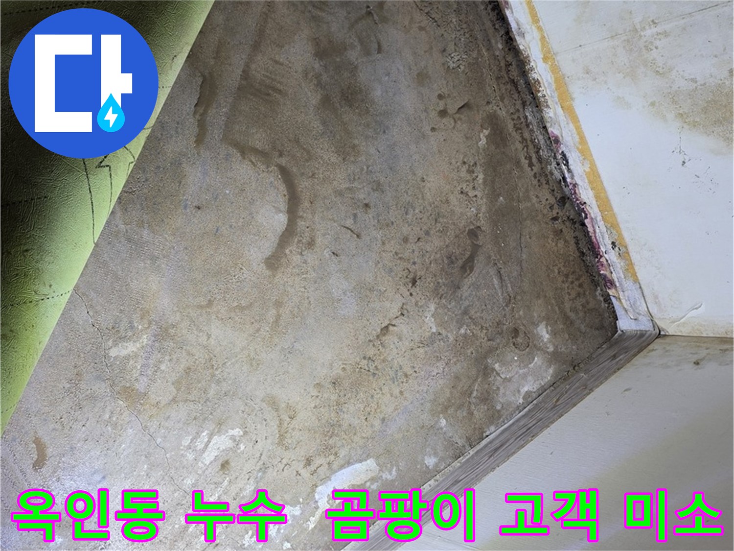 장판 밑 곰팡이 - 옥인동 고객 만족 미소
