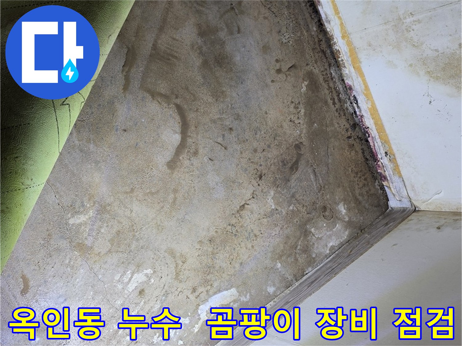 장판 밑 곰팡이 - 옥인동 곰팡이 제거 장비 점검