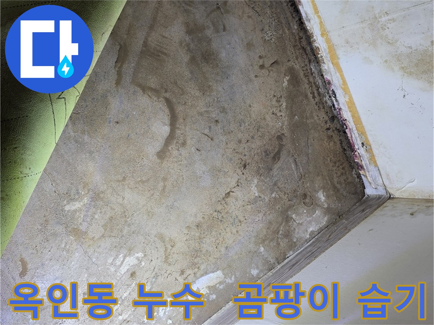 장판 밑 곰팡이 - 옥인동 습기 문제 함께 해결