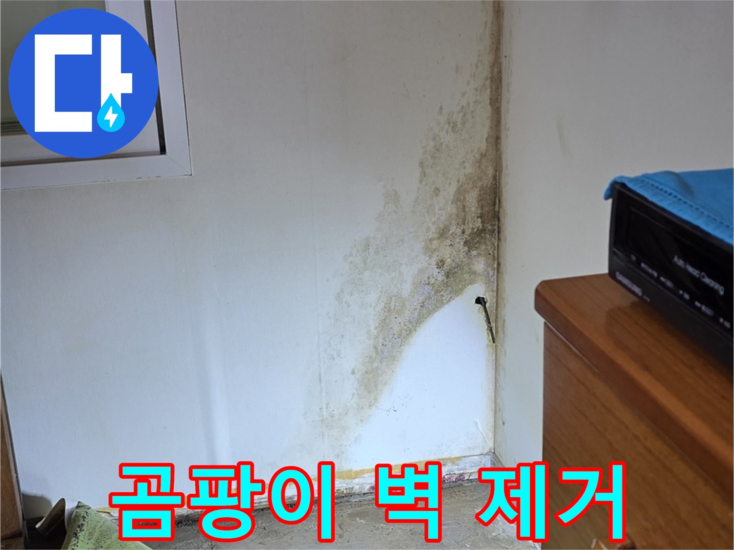 종로구 부암동 곰팡이 벽 제거 - 완벽 제거 비법 전수