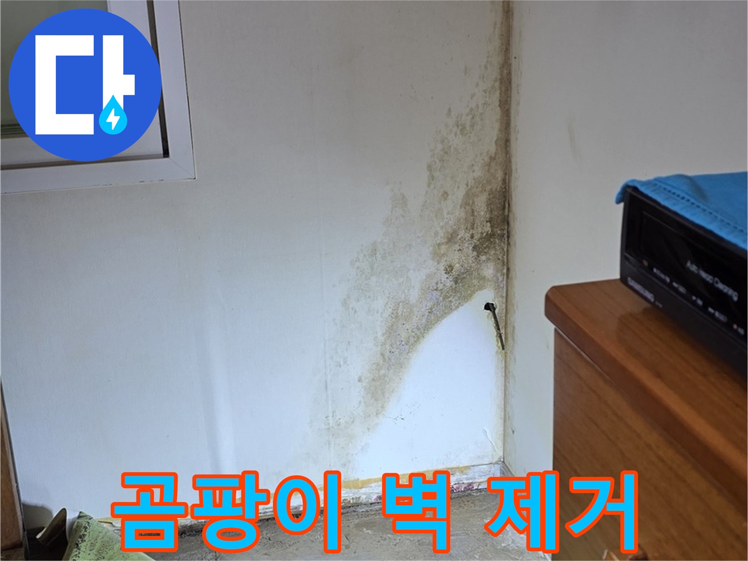 종로구 이화동 곰팡이 벽 제거 - 전문 장비와 기술력으로 깨끗하게