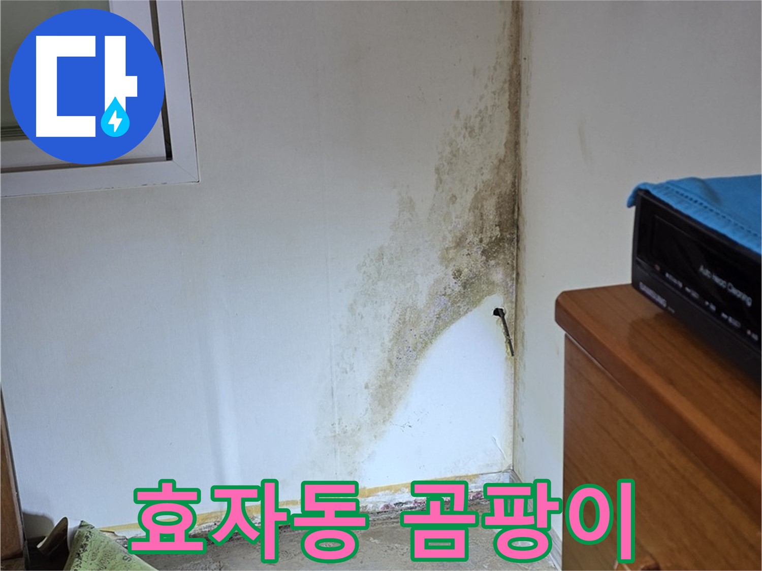 종로구 효자동 누수 - 곰팡이 독소 위험 - 긴급 진단 필요