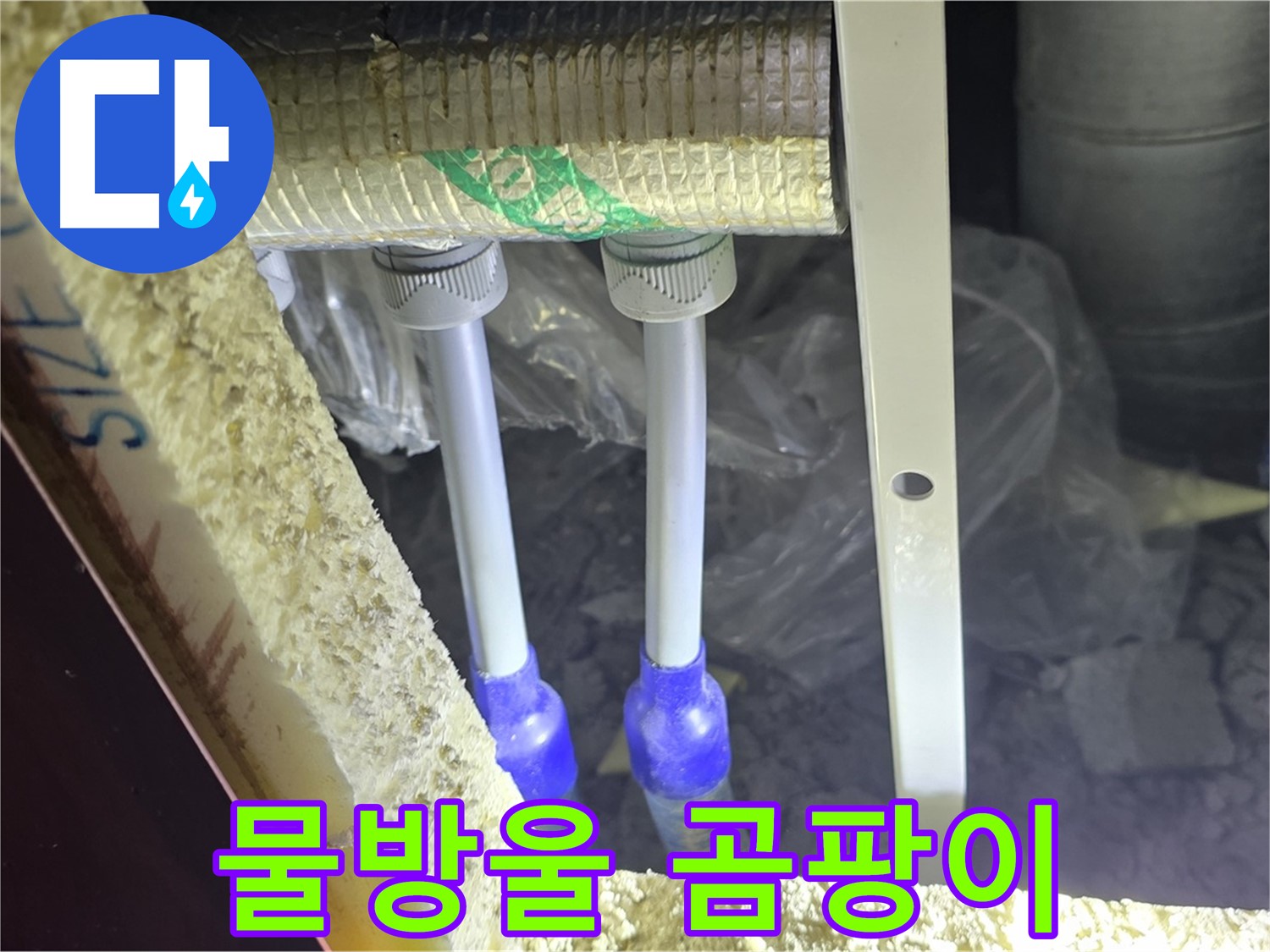 삼숭동 양주자이 누수 - 배관 연결 부속 주변 물방울 맺힘 및 곰팡이 발생 여부 검사