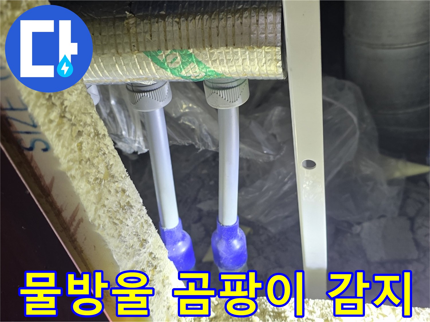 삼숭동 양주자이 누수 - 배관 연결 부속 주변 물방울 맺힘 및 곰팡이 발생 여부 세밀 감지