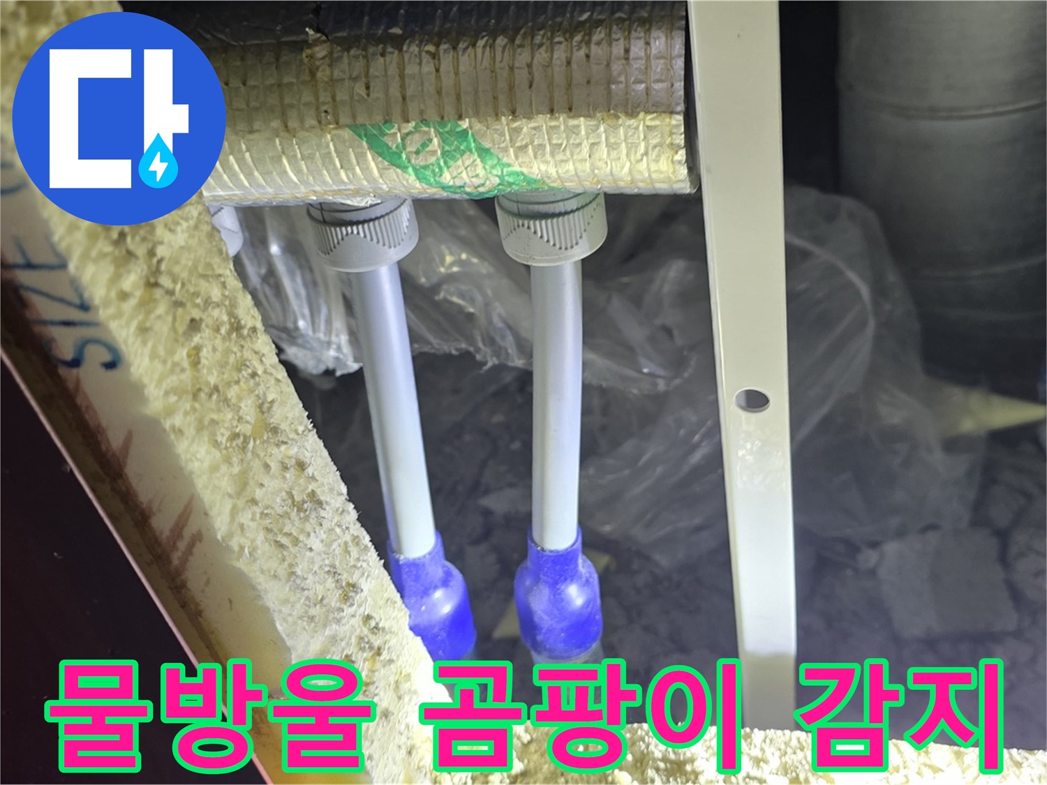 삼숭동 양주자이 누수 - 배관 연결 부속 주변 물방울 맺힘 및 곰팡이 번식 여부 정밀 감지