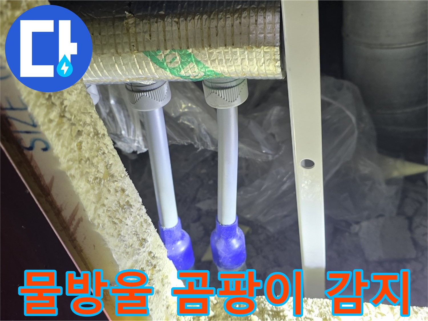 삼숭동 양주자이 누수 - 배관 연결 부속 주변 물방울 맺힘 및 곰팡이 서식 여부 정밀 감지