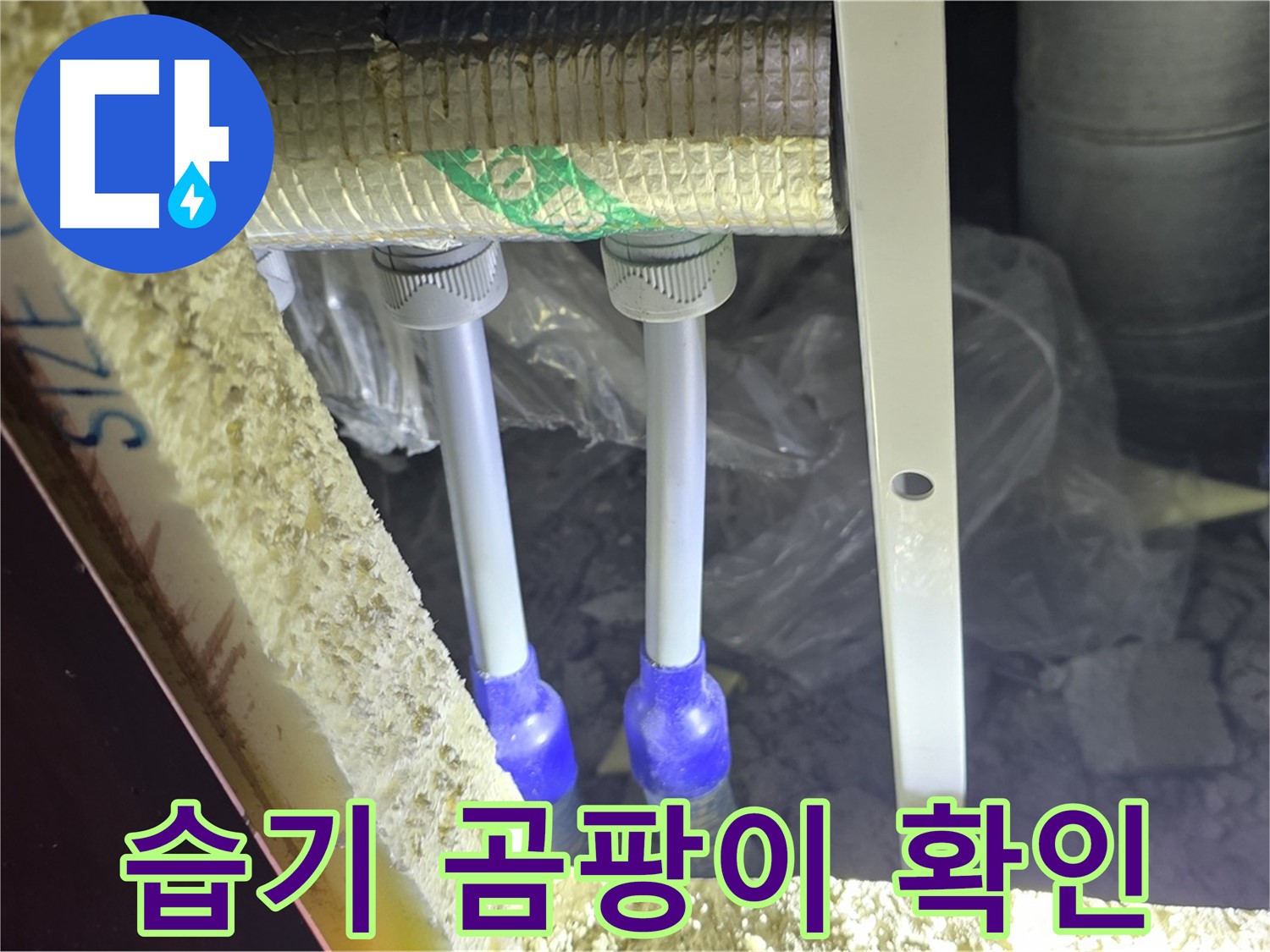 삼숭동 양주자이 아파트 누수 - 배관 연결 부속 주변 습기 및 곰팡이 발생 가능성 집중 확인