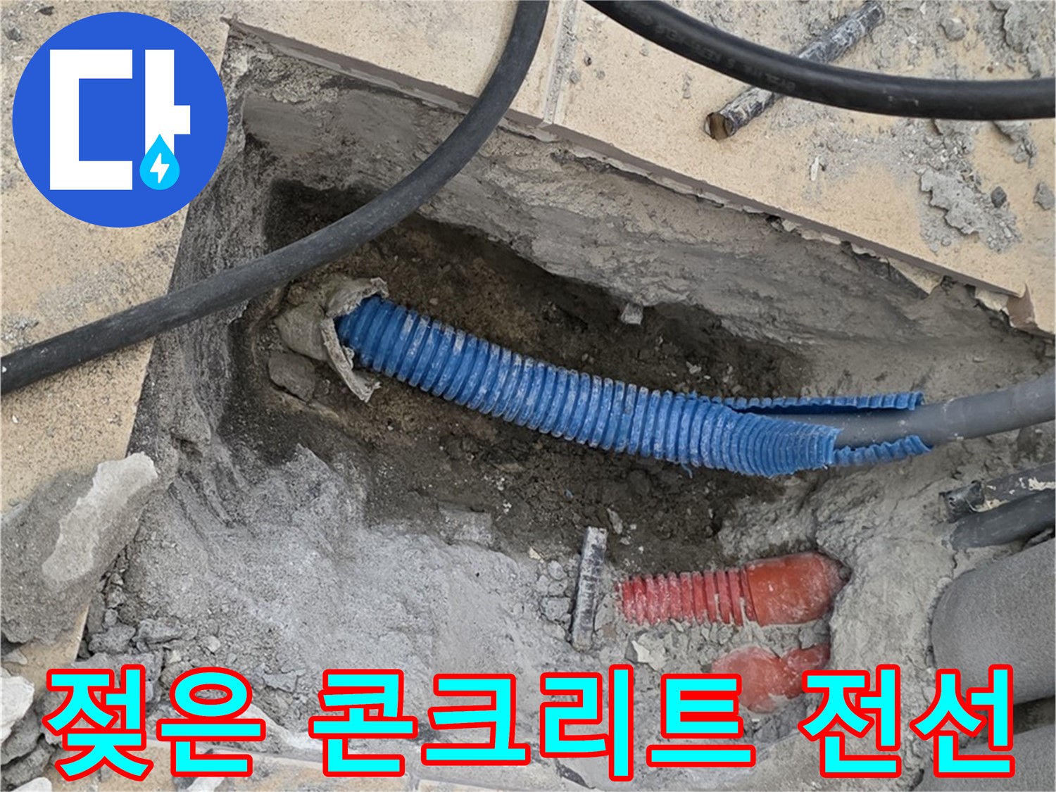 양주 삼숭동 누수 - 젖은 콘크리트와 꼬불거리는 파란 전선관