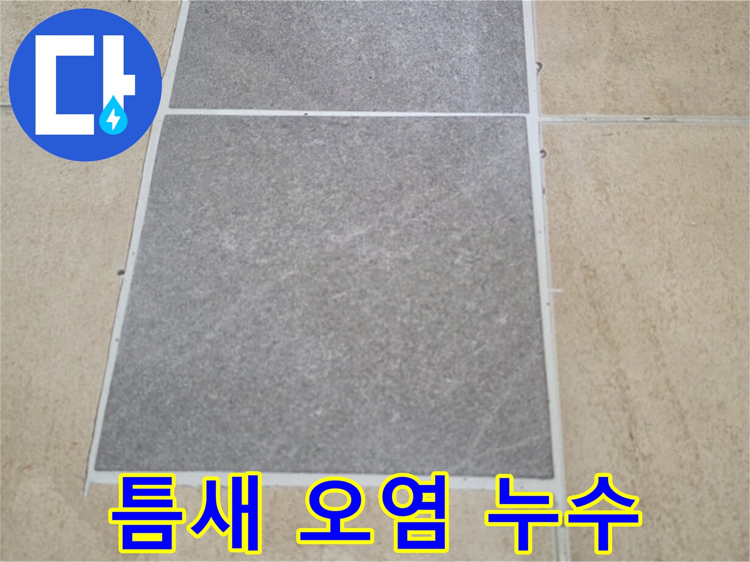 양주 삼숭동 아파트 - 타일 틈새 오염 상태를 확인하여 누수 가능성을 점검하고 있습니다.