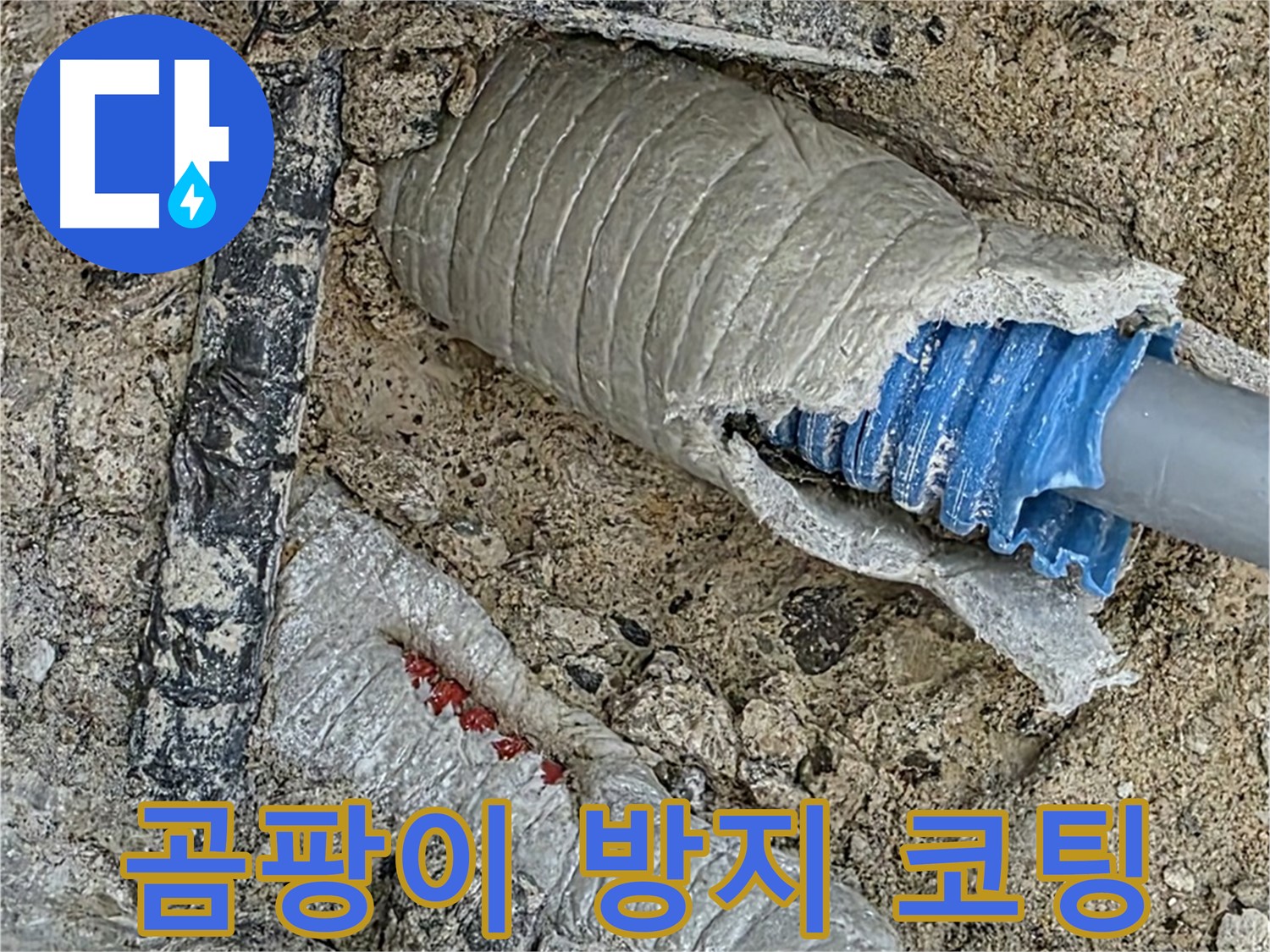 양주 삼숭동 자이아파트 누수 - 누수 해결 후, 곰팡이 걱정 싹! 방지 코팅까지 완벽하게!
