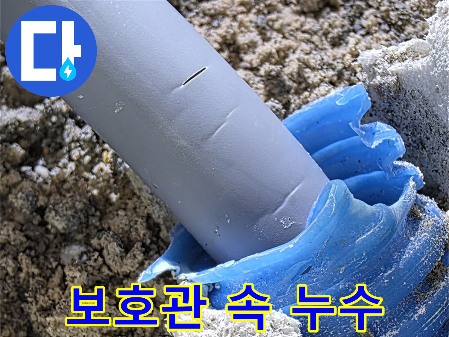양주 삼숭동 자이아파트 누수 - 보호관 속에 숨어있는 배관 누수 지점을 진단하고 있습니다 - 정밀 탐지.