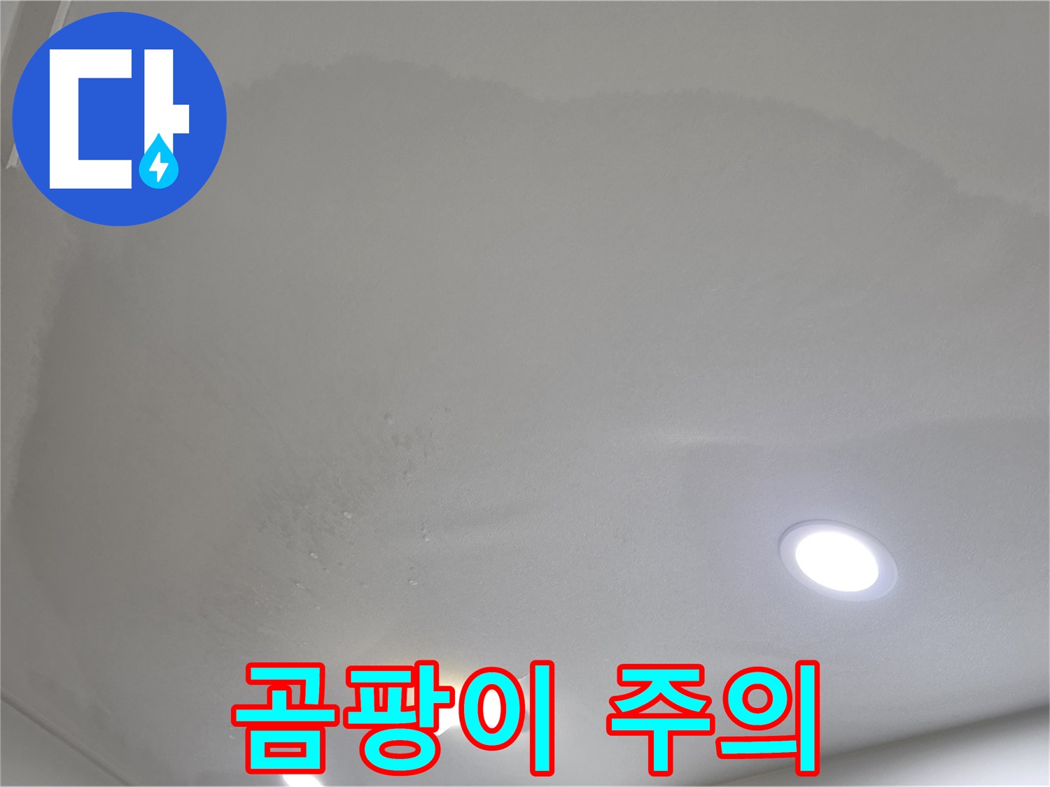 양주 아파트 누수 - 물방울 천장 - 곰팡이
