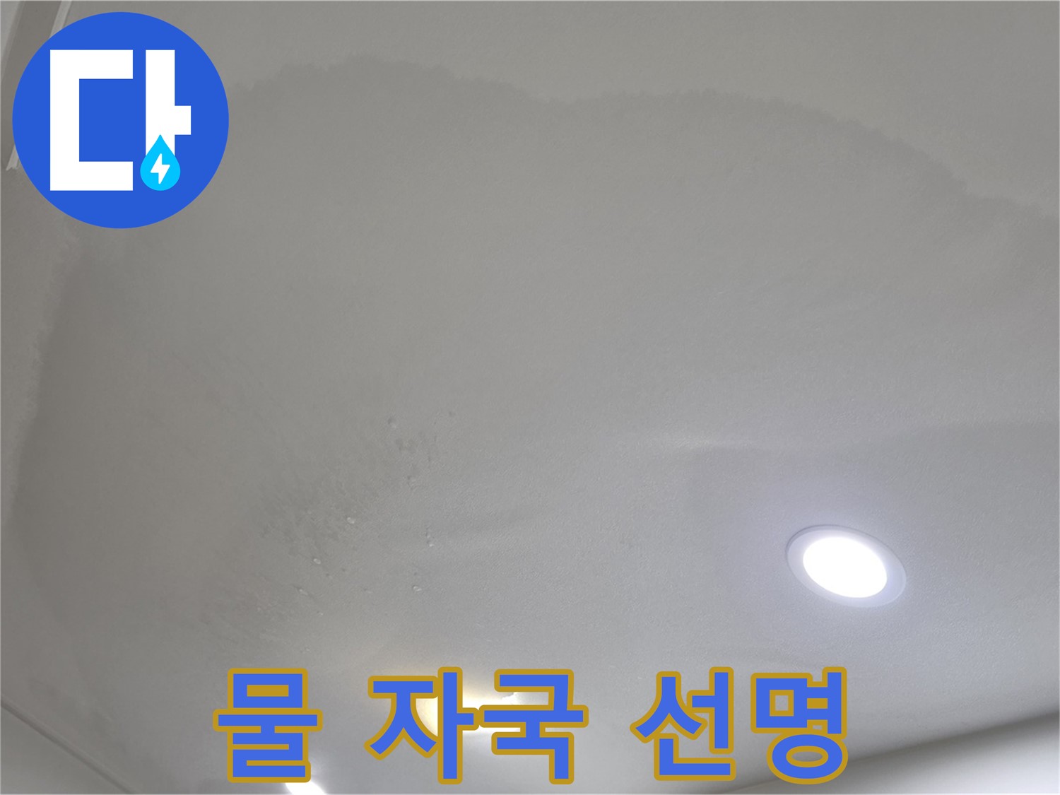 양주 아파트 누수 - 젖은 천장 - 물 자국