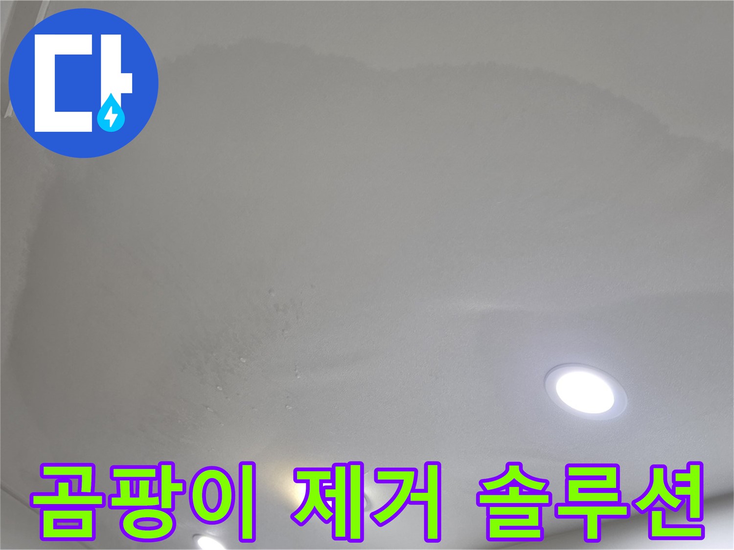 양주 천장 누수 - 곰팡이 냄새, 곰팡이 제거