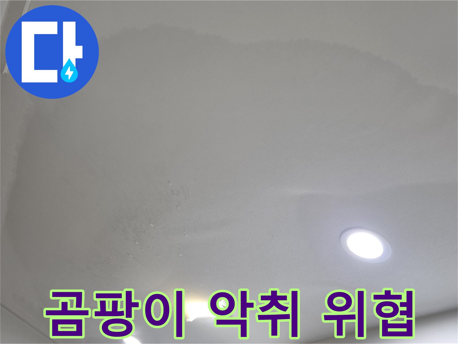 양주시 삼숭동 누수 - 넓게 젖은 천장 얼룩 - 곰팡이 악취