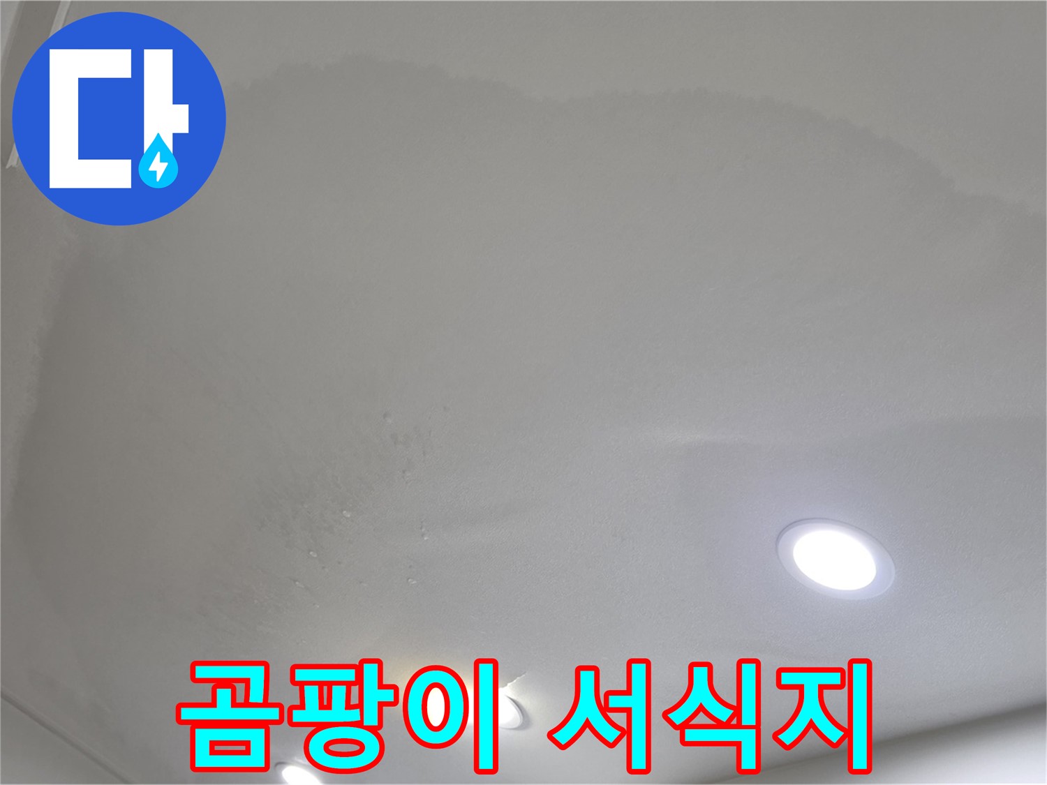 양주시 삼숭동 누수 - 부풀어 오른 천장, 곰팡이
