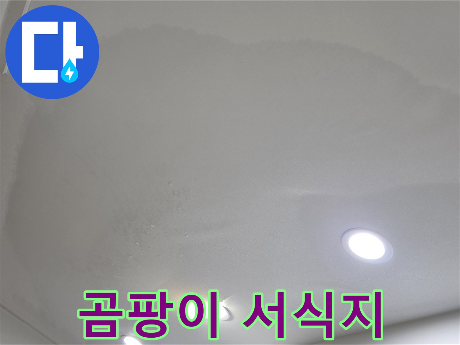 양주시 삼숭동 누수 - 부풀어 오른 천장, 곰팡이