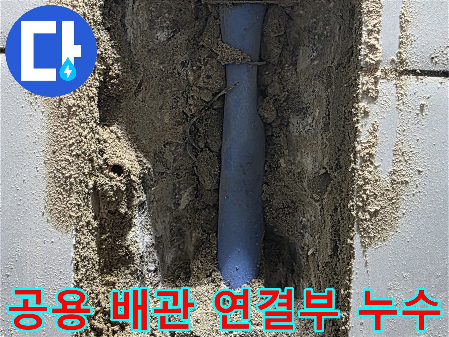 성남시 분당구 쇳골 누수 - 노후된 공용 배관 연결 부위에서 누수 발생