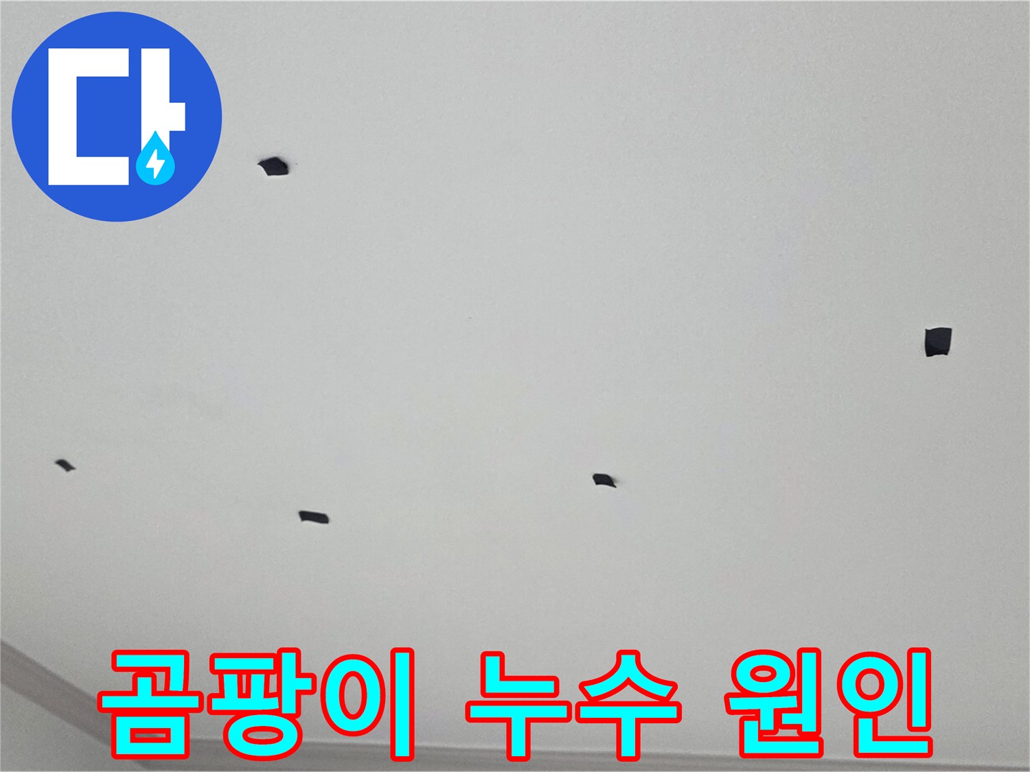 논현동 누수 탐지 - 천장 곰팡이, 누수 여부 정확하게 진단