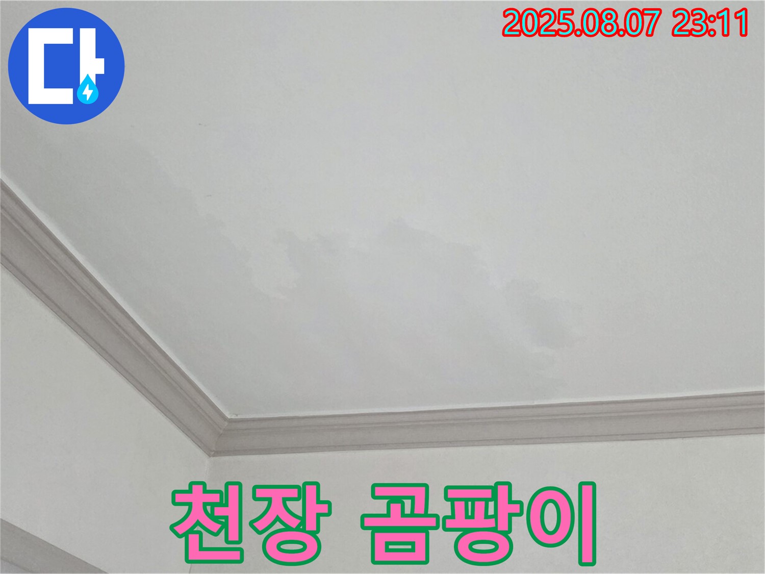 논현주공1단지 아파트 천장 누수 - 곰팡이 발생 및 누수 후유증 해결