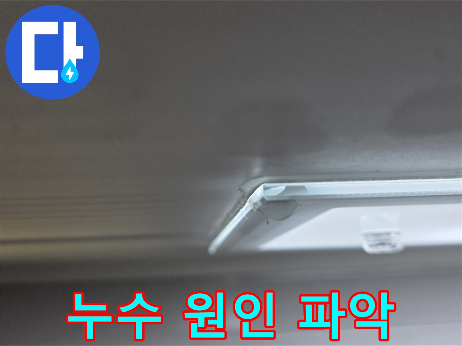 옥정동 13단지 율정마을 아파트 천장 누수 - 초기 누수 발견 후 원인 파악에 집중하고 있습니다.