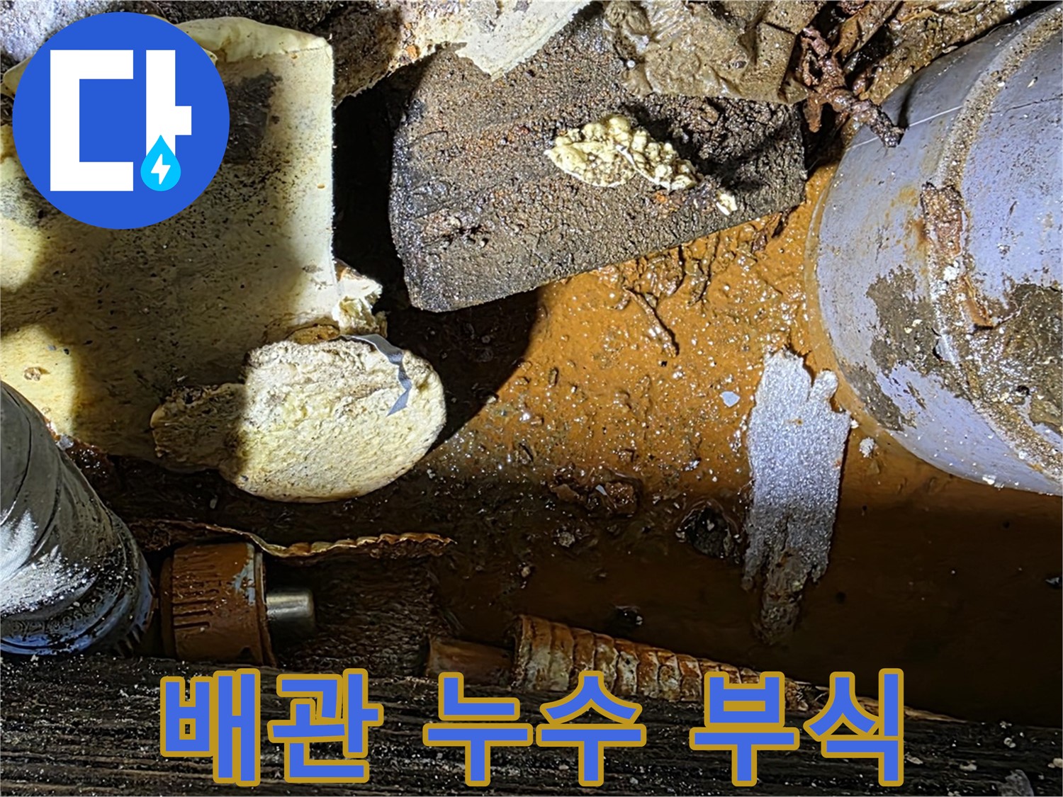 용인 처인구 원삼면 누수 현장 - 노후 배관 부식으로 인한 누수 발생 지점 확인
