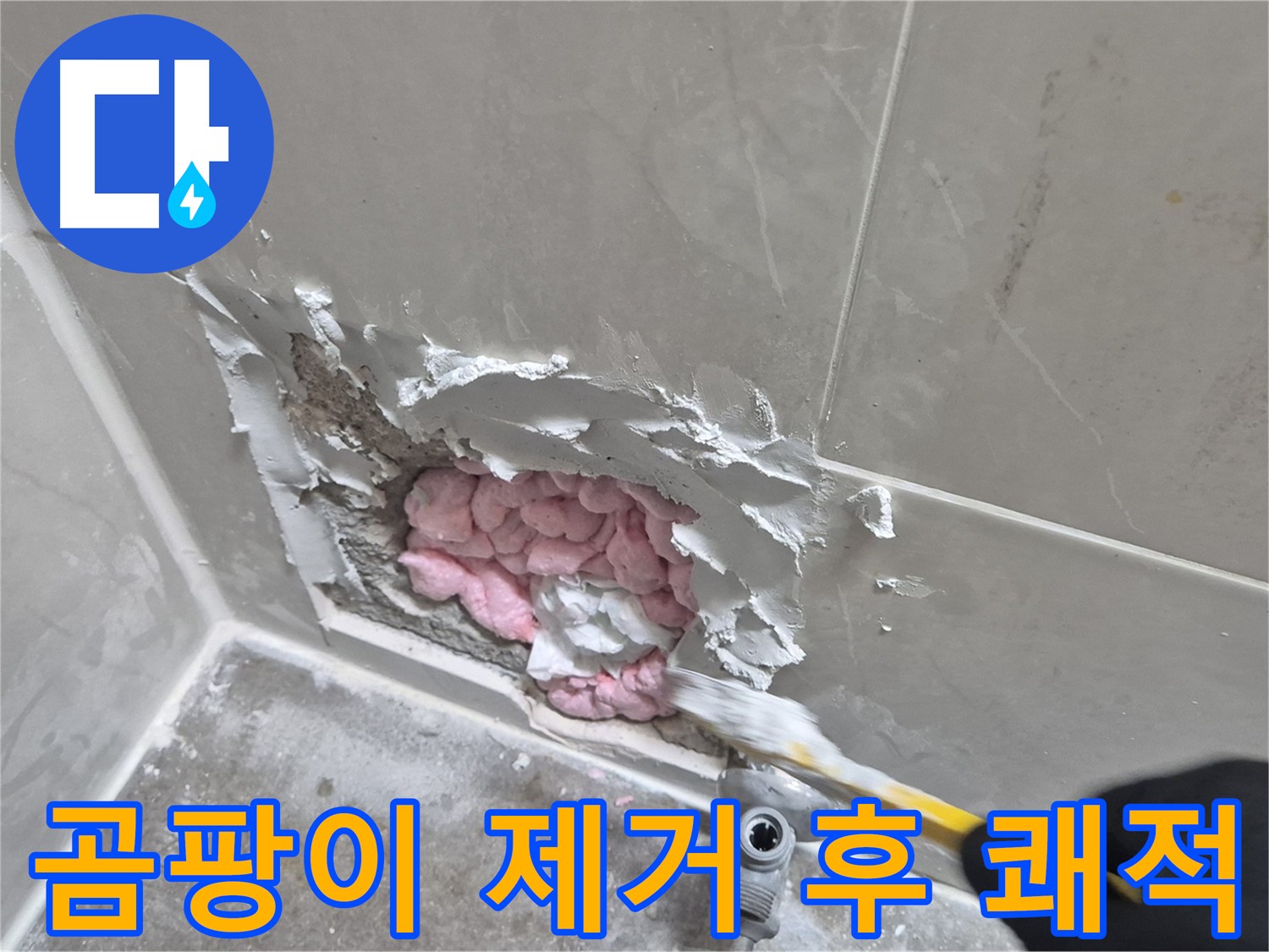 곰팡이 제거 후 쾌적 - 상쾌하게!