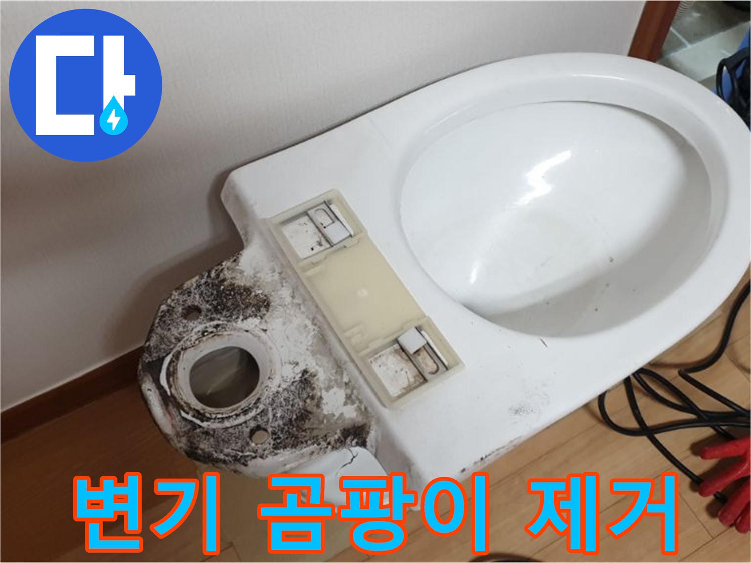 변기 곰팡이 제거 - 쾌적한 화장실로 변신