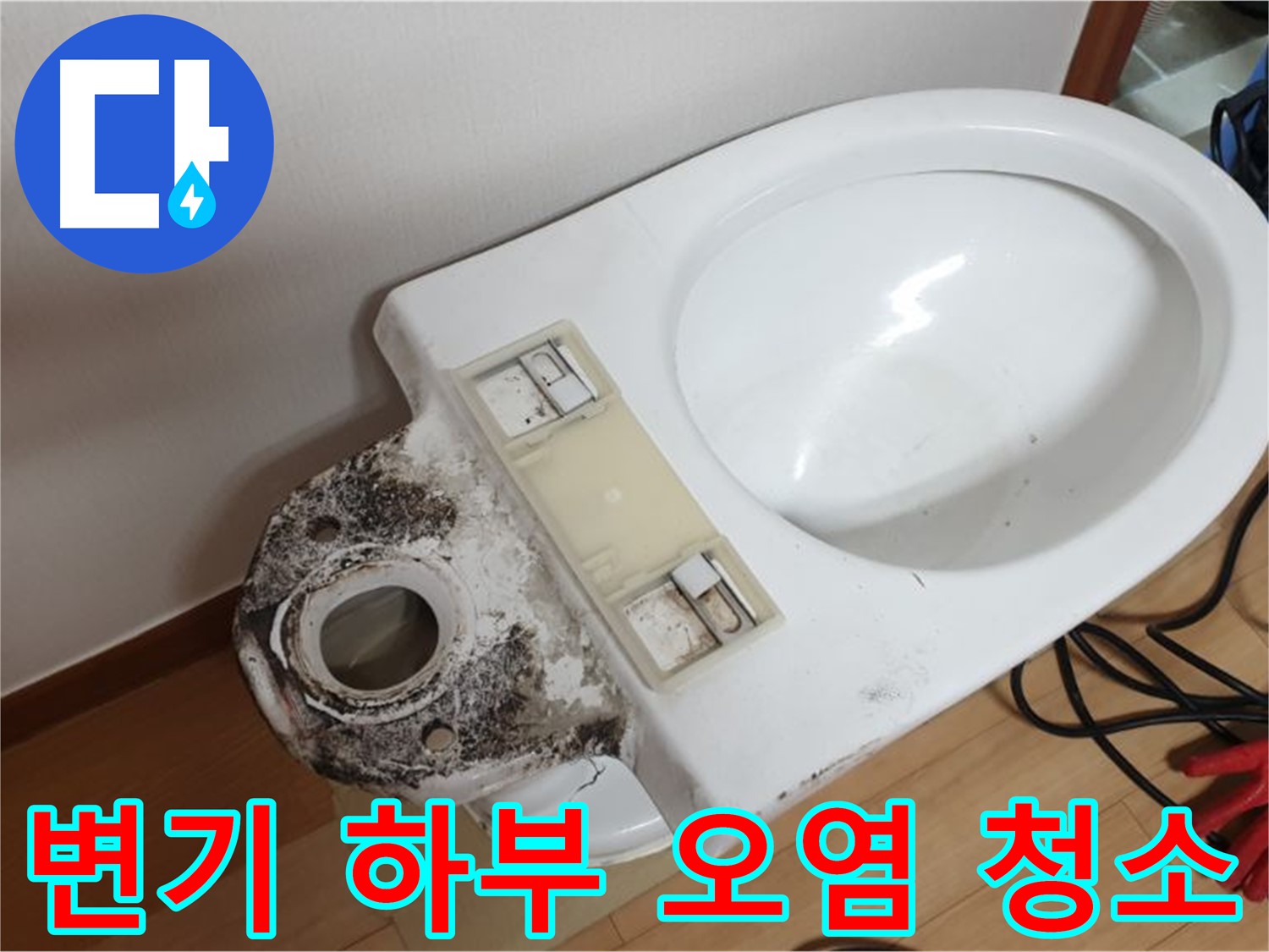 변기 하부 오염 - 꼼꼼한 청소와 완벽한 살균