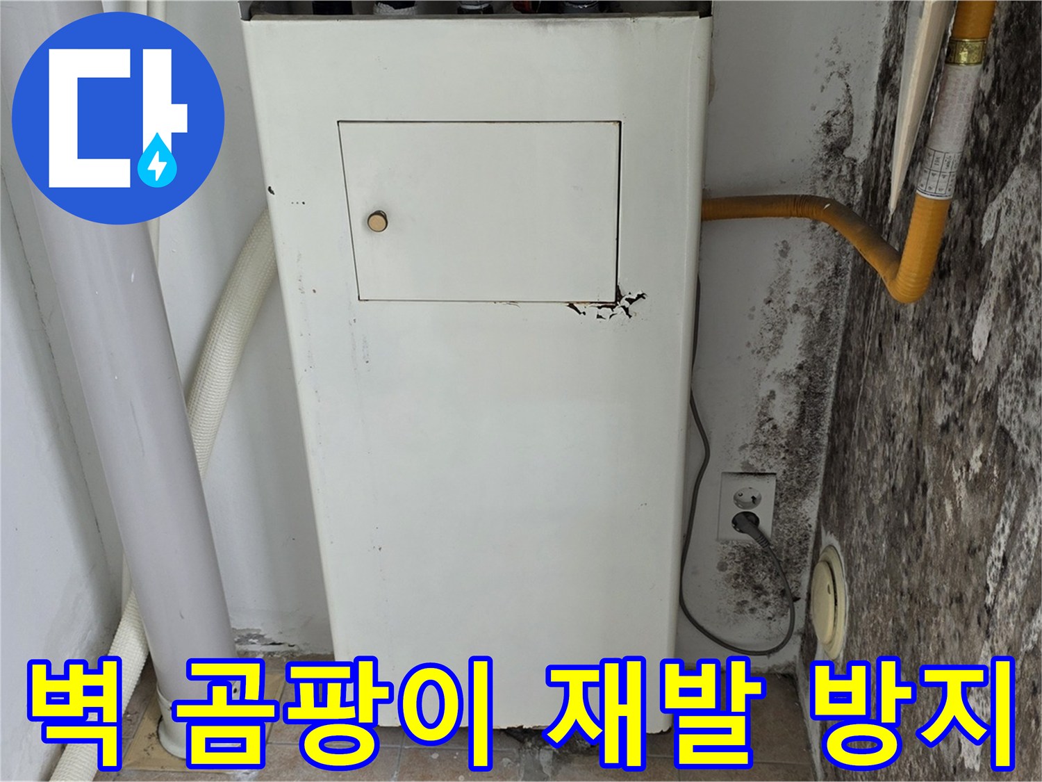 길음동 숭인로 - 곰팡이 핀 벽의 곰팡이 재발 방지 시공을 위한 전문가 방문