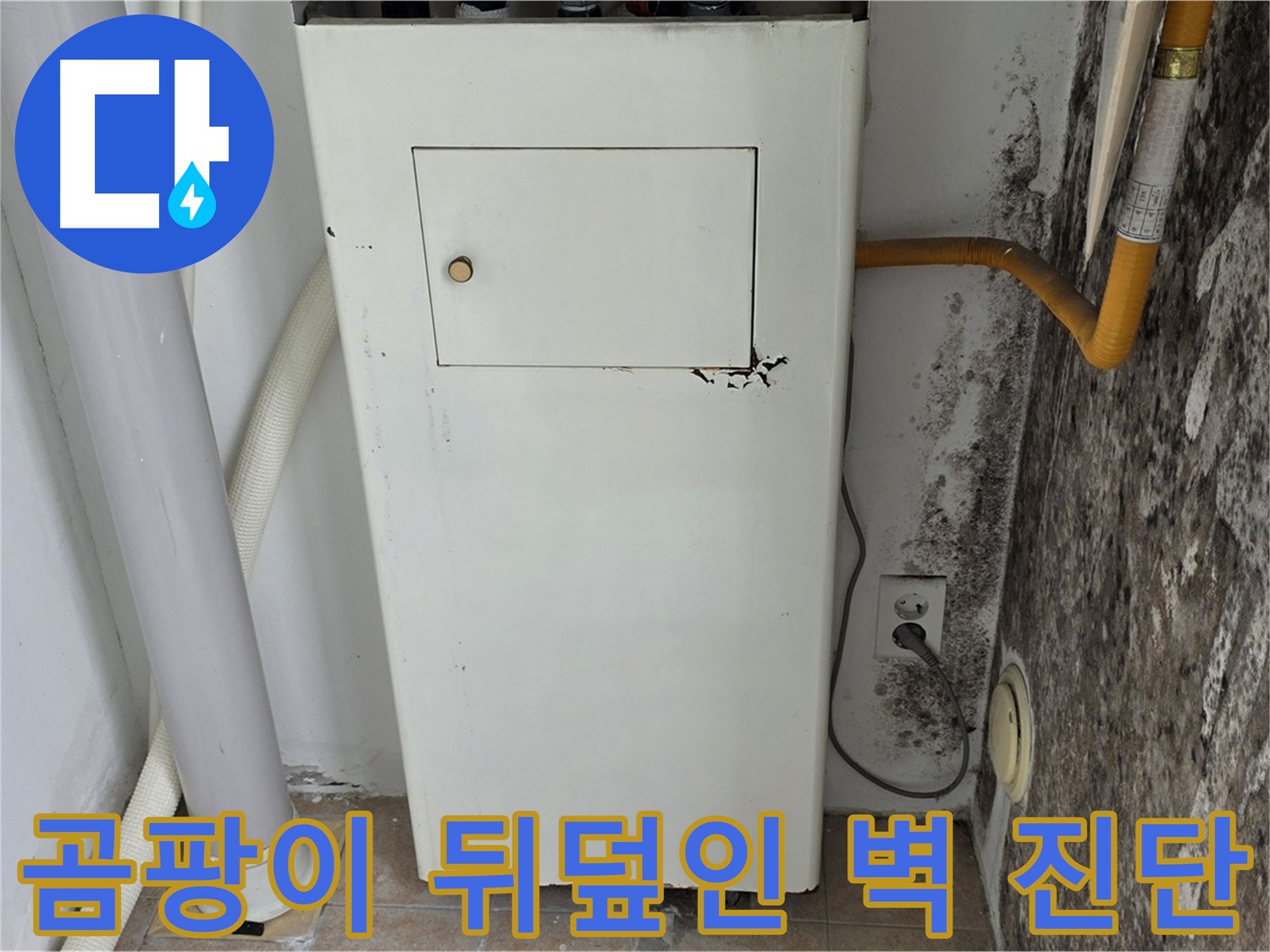 성북구 길음1동 숭인동 - 곰팡이 뒤덮인 벽 긴급 점검 - 누수 전문가의 신속한 진단