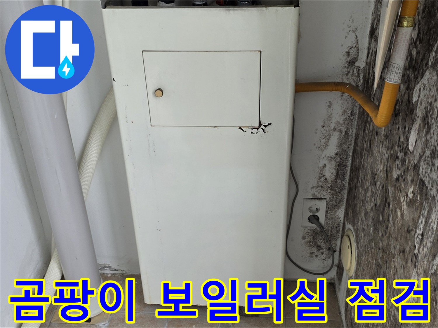 성북구 길음1동 숭인로 - 곰팡이 가득한 보일러실 점검 - 누수 전문가의 꼼꼼한 진단