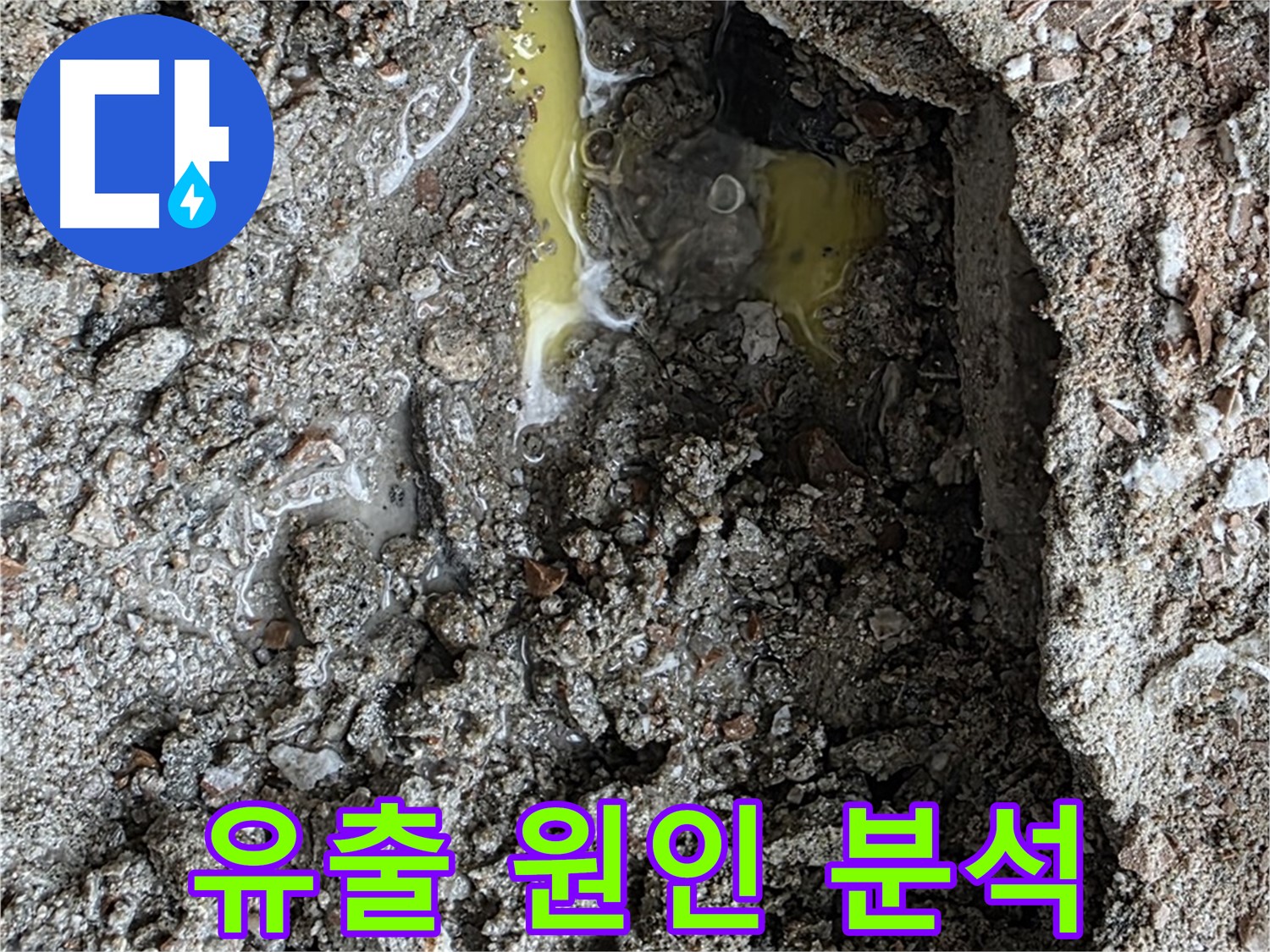 숭인로 16번지 106동 누수 - 노란 액체, 기름 유출 가능성을 확인하고 정확한 원인 분석에 들어갑니다.