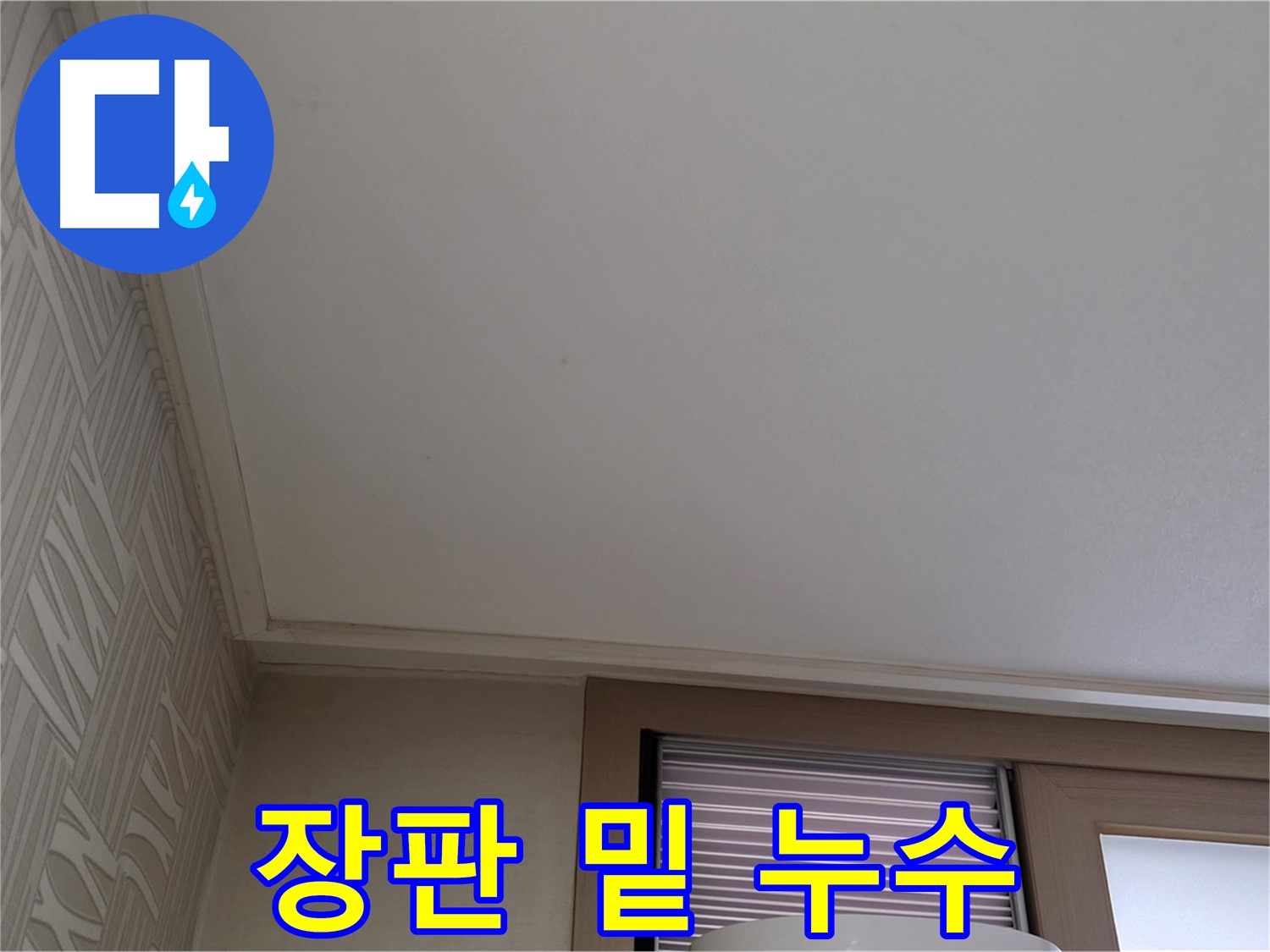 상암동 505동 누수 - 장판 밑 물 고임 - 긴급 점검 필요
