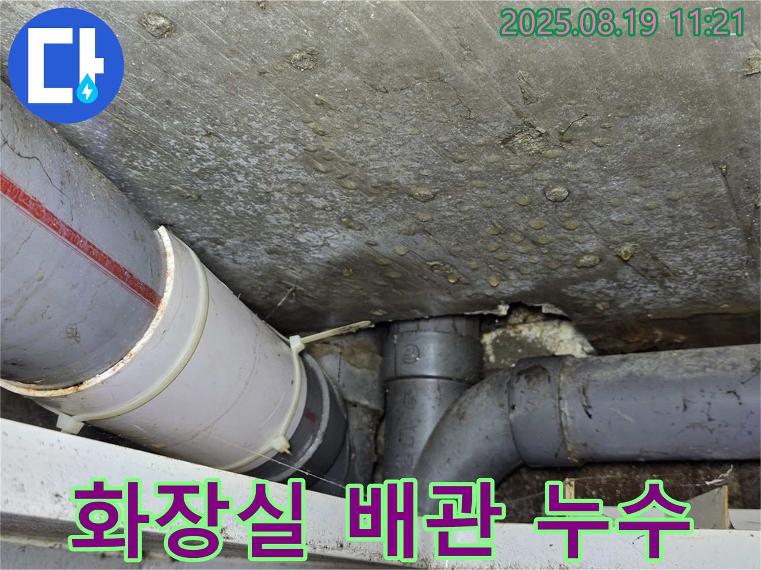 수유동 삼광빌라 화장실에서 발생한 배관 누수 - 누수탐지 전문가가 정확하게 진단하고 해결했습니다.