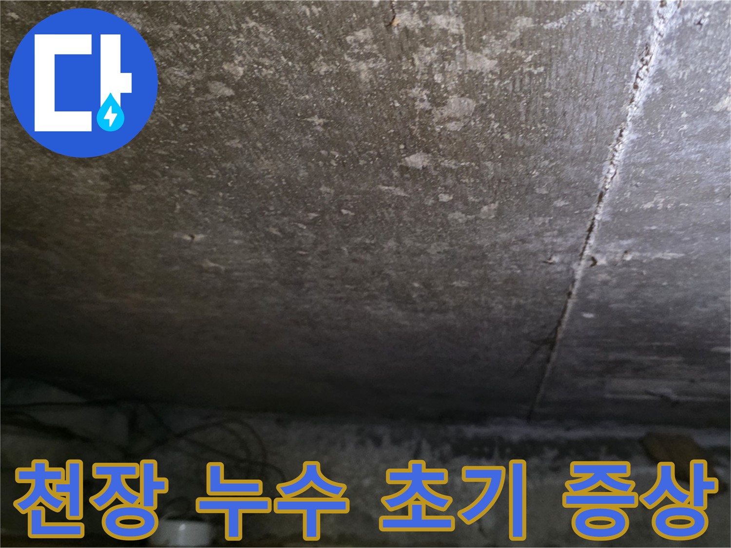 용인 처인구 원일아파트 천장 누수 초기 증상 - 누수 흔적을 자세히 보여줍니다.