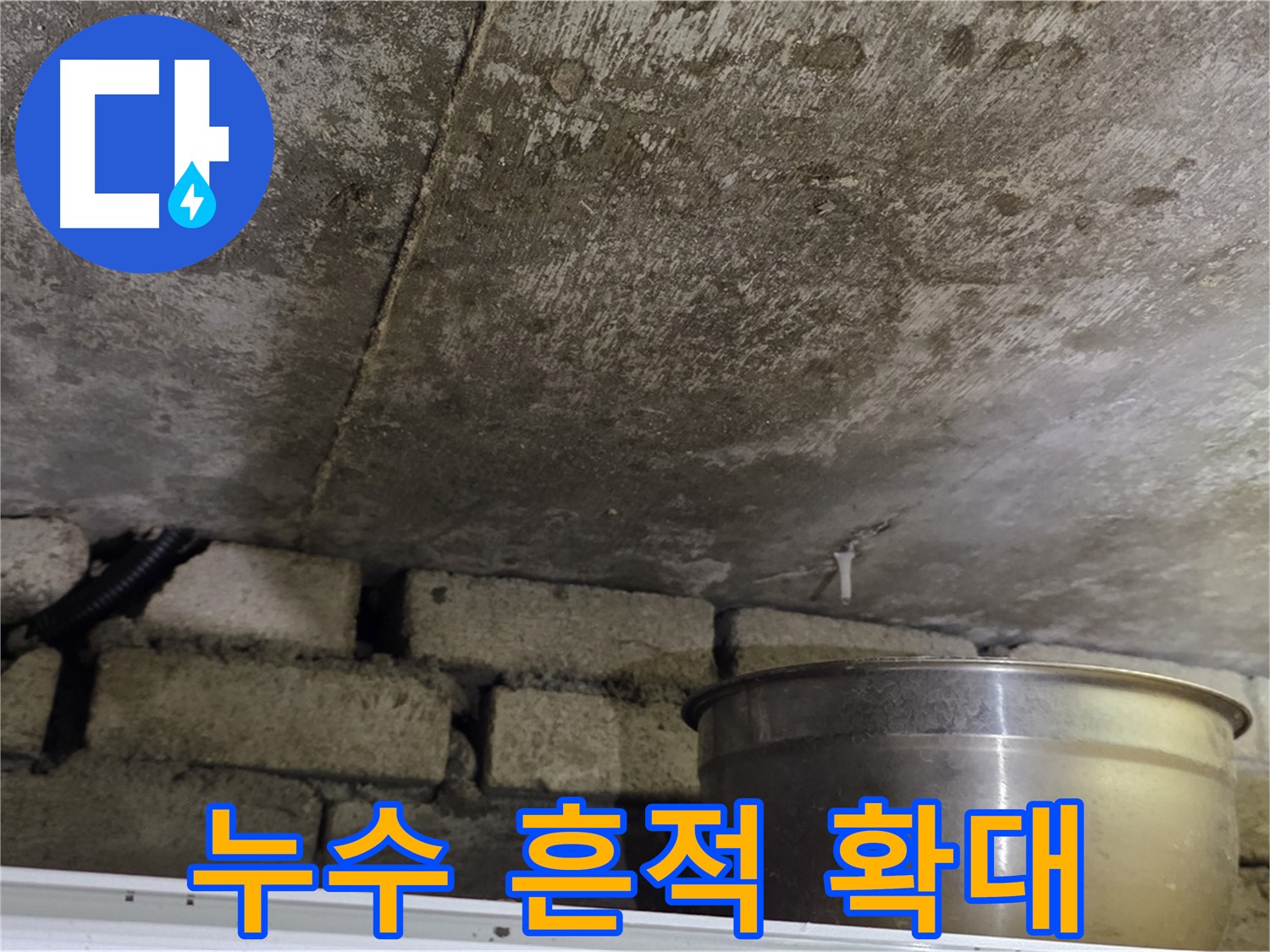 원일아파트 누수 현장 - 천장에 생긴 누수 흔적을 확대한 사진.