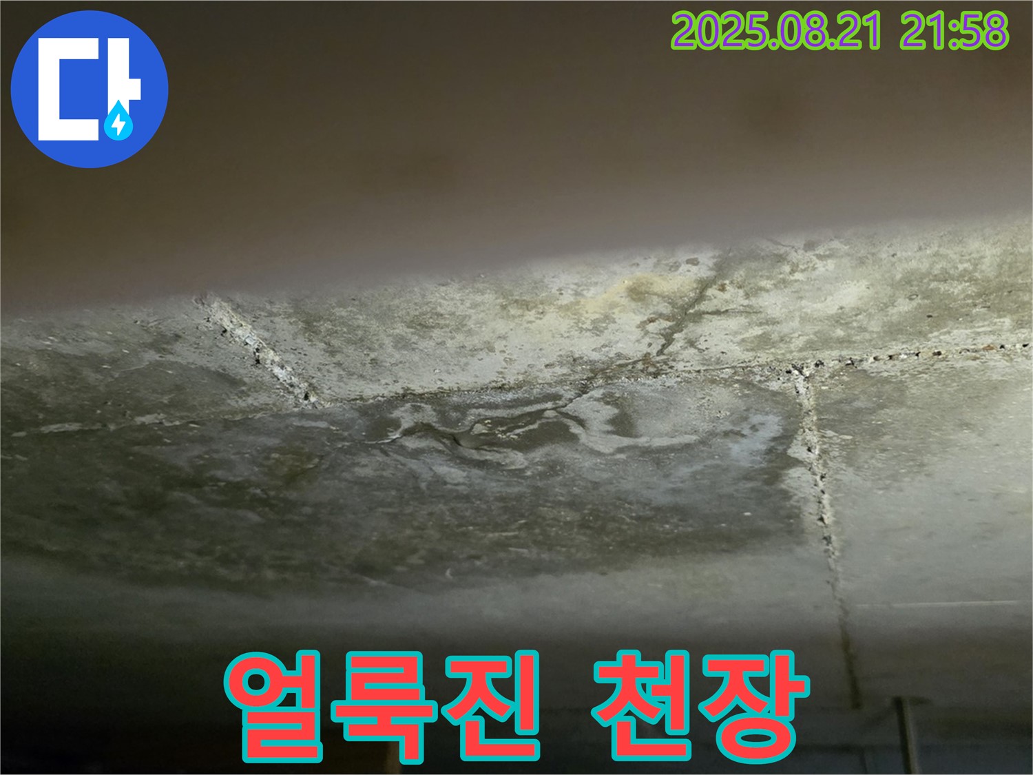 고양시 일산서구 하이파크3로 빌라 - 누수로 인해 얼룩진 천장의 모습입니다.