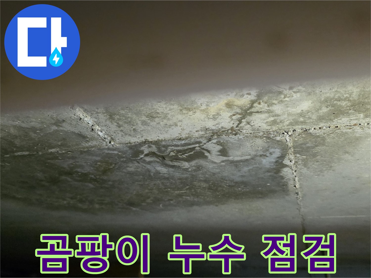 일산서구 가좌동 아파트 곰팡이 핀 천장 - 누수 점검 및 원인 진단