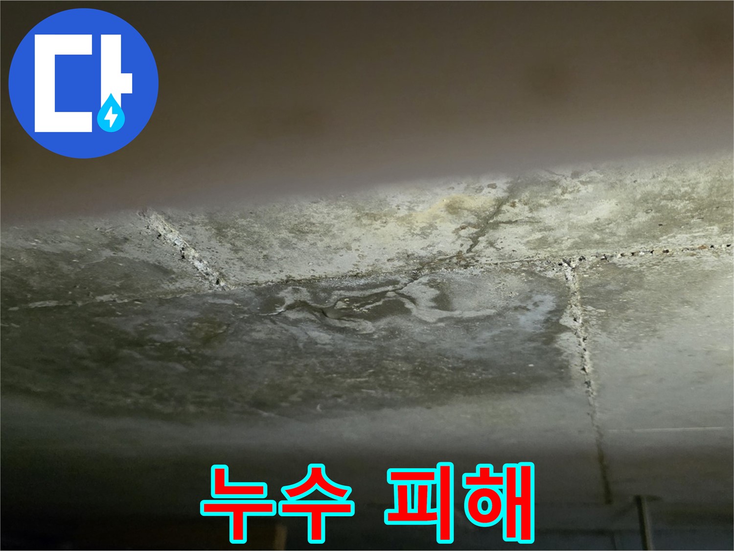 일산서구 덕이동 아파트 누수 피해 - 누수 예방 공사로 안전하게