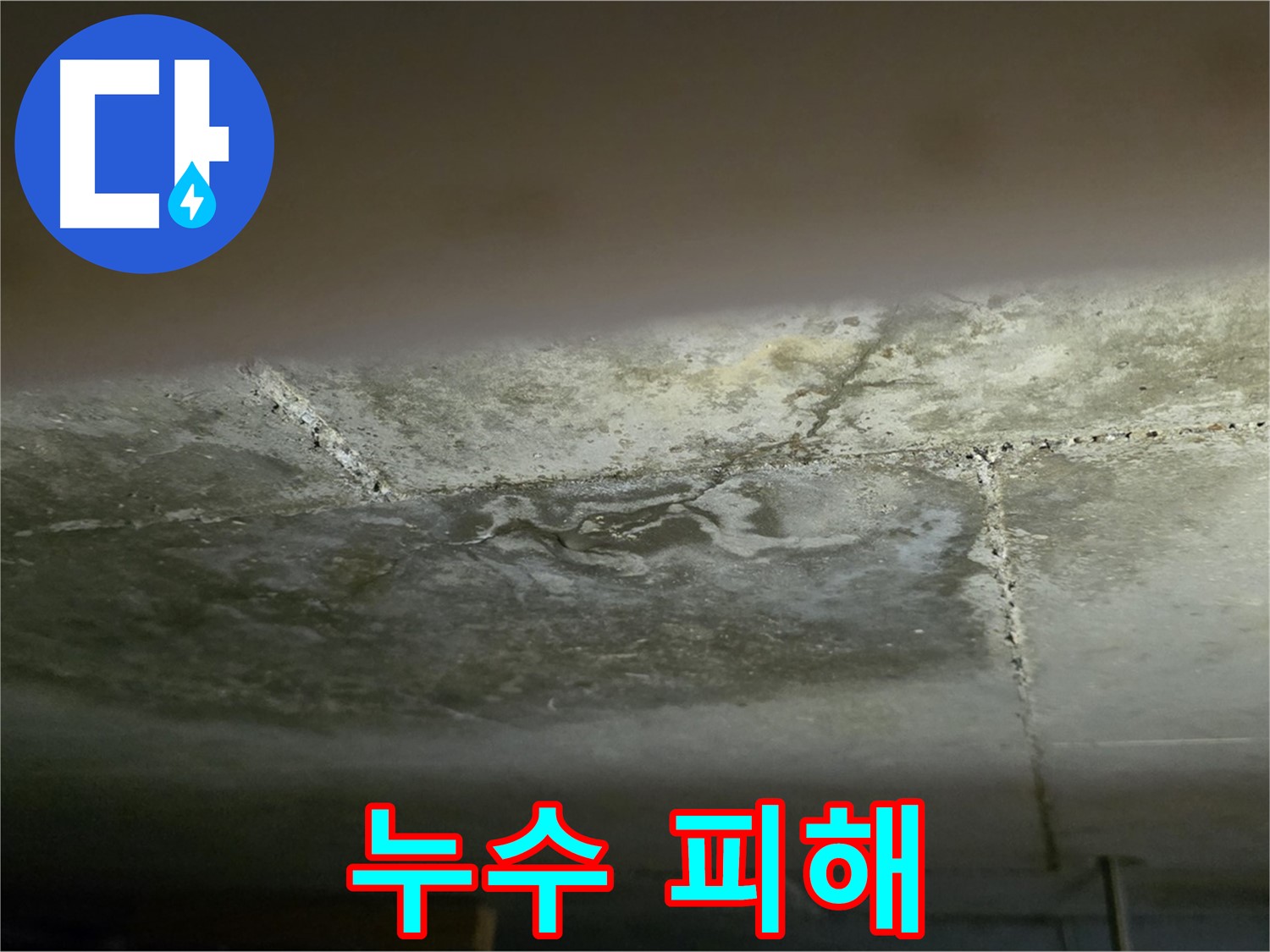 일산서구 덕이동 아파트 누수 피해 - 완벽한 누수 공사로 재발 방지