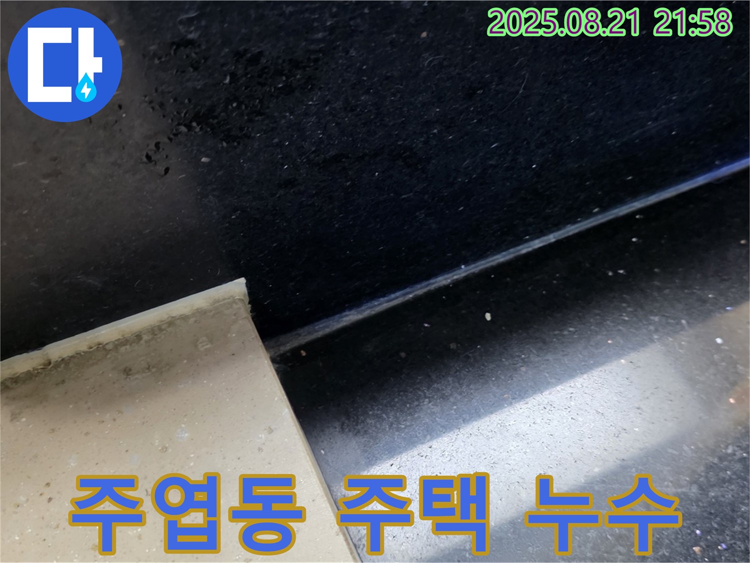 일산서구 주엽동 주택 누수 - 곰팡이가 핀 타일 주변을 집중적으로 점검하여 누수 원인을 분석하는 모습
