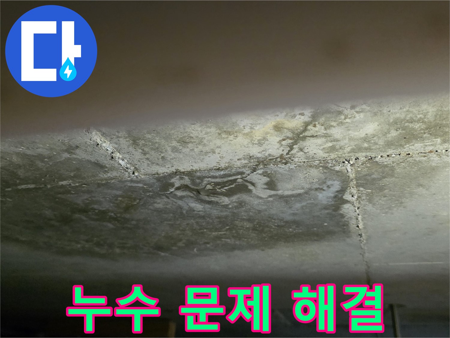 일산서구 하이파크 아파트 누수 문제 해결 - 누수 초기 증상 진단