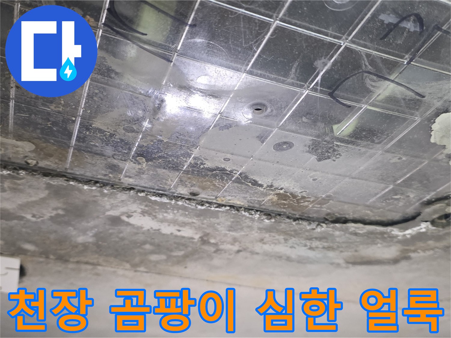 천장 곰팡이 심한 얼룩 - 누수로 인해 천장에 곰팡이가 심하게 생긴 얼룩이 보입니다.