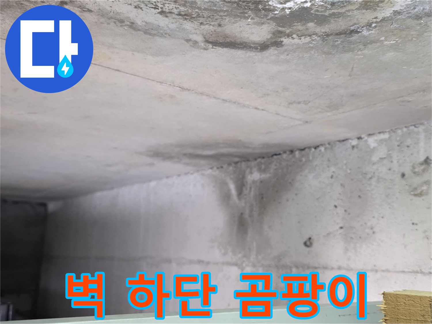 콘크리트 벽 하단 누수 - 일산 누수, 습기와 곰팡이 발생