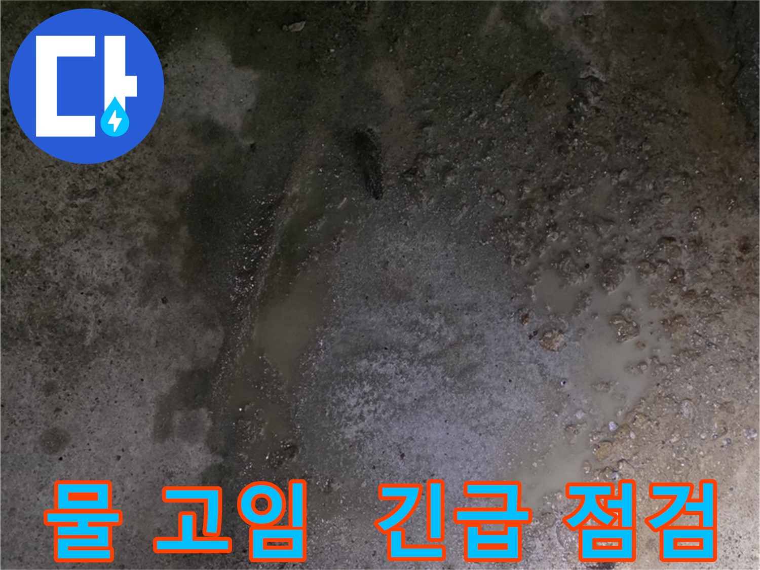 강원도 철원군 서면 와수리 누수 현장 - 바닥에 물이 고여있는 긴급한 상황입니다.